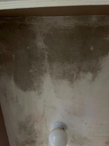 Amador-H.-Garcia-Power-Wash-133