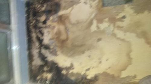 Amador-H.-Garcia-Power-Wash-223