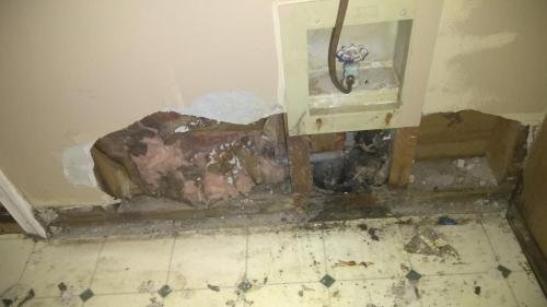 Amador-H.-Garcia-Power-Wash-235